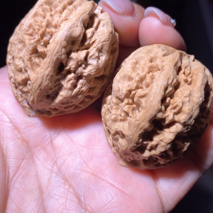 文玩核桃把件东北野生楸子小美63