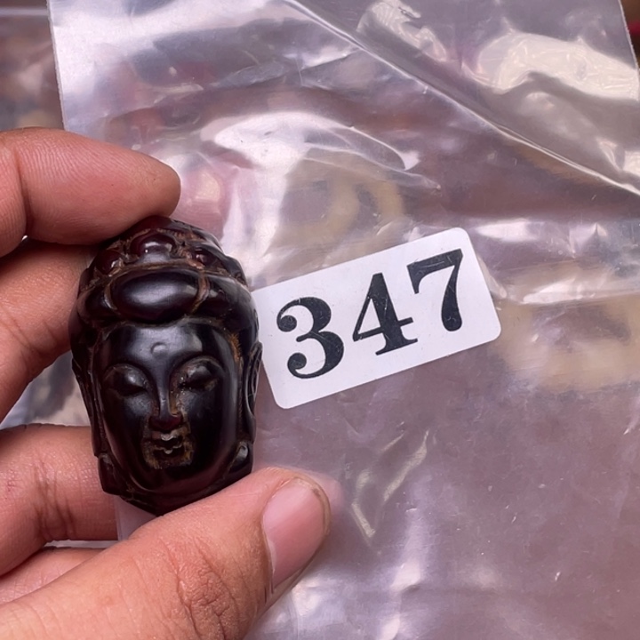 驼骨其他人好咯了养殖