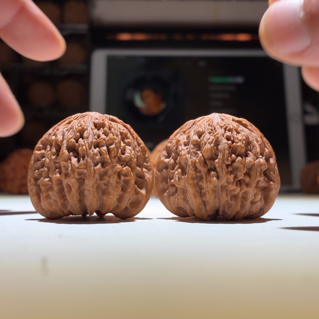 文玩核桃把件密纹40