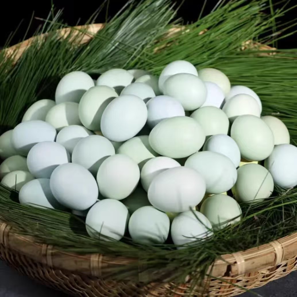 农家散养绿壳乌鸡蛋50枚山林散养谷物喂养30-40克