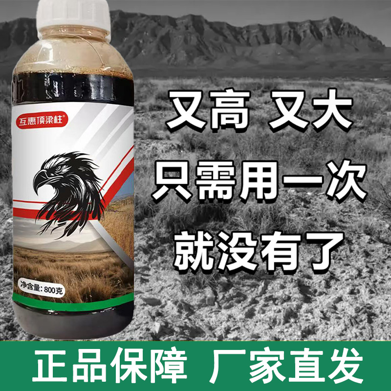  果园田埂荒地户外喷雾使用厂家直发