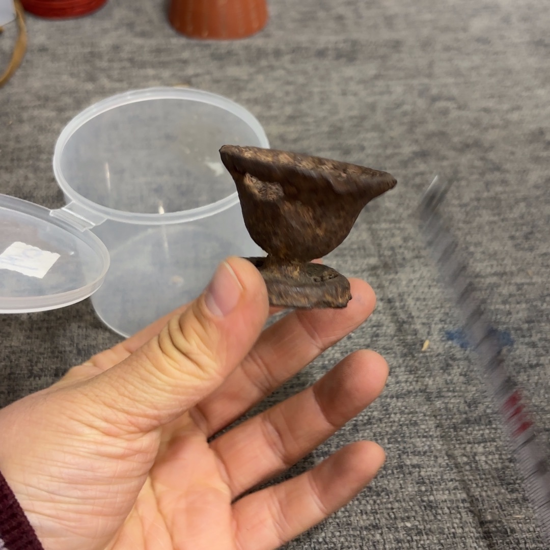 非常好看的物品 The 