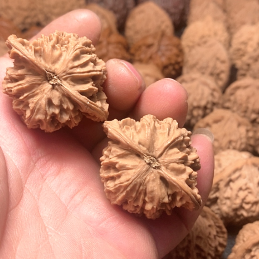 【闪购商品】D*盘龙纹