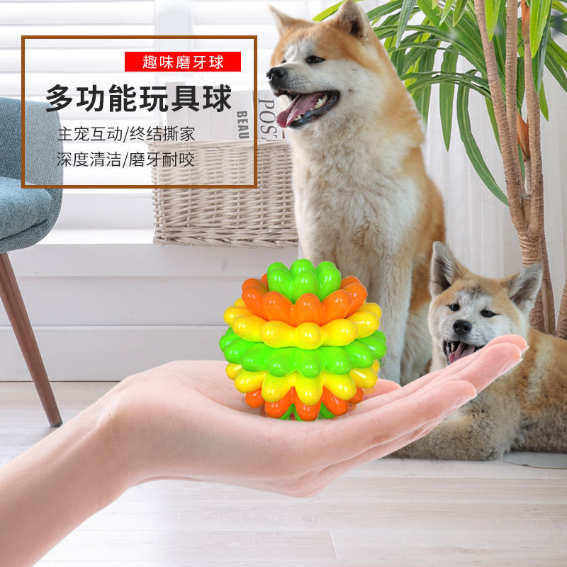 球宠物磨牙拉布拉多胶逗狗神器狗狗宠物用品网红耐咬