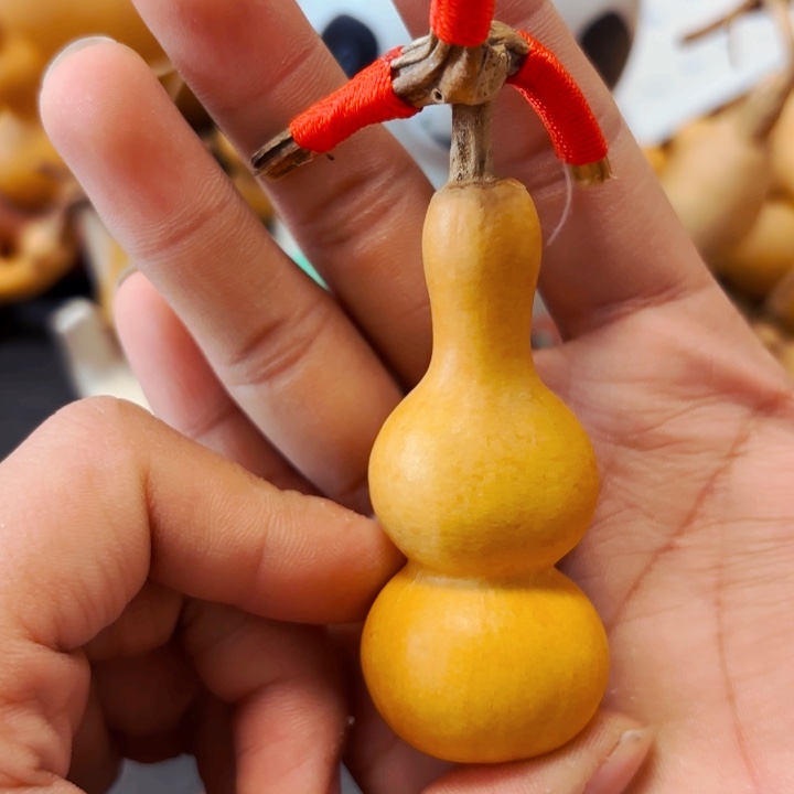 ✨***弟88888888888888888888