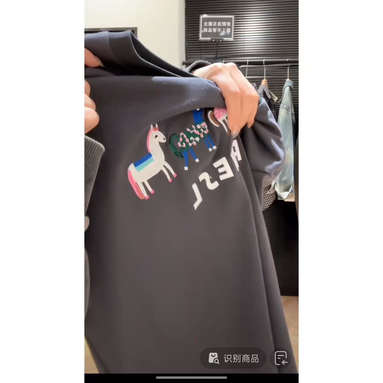 徐秋阳  彩色小马（常规版型）春夏新款百搭显瘦显白短袖12316