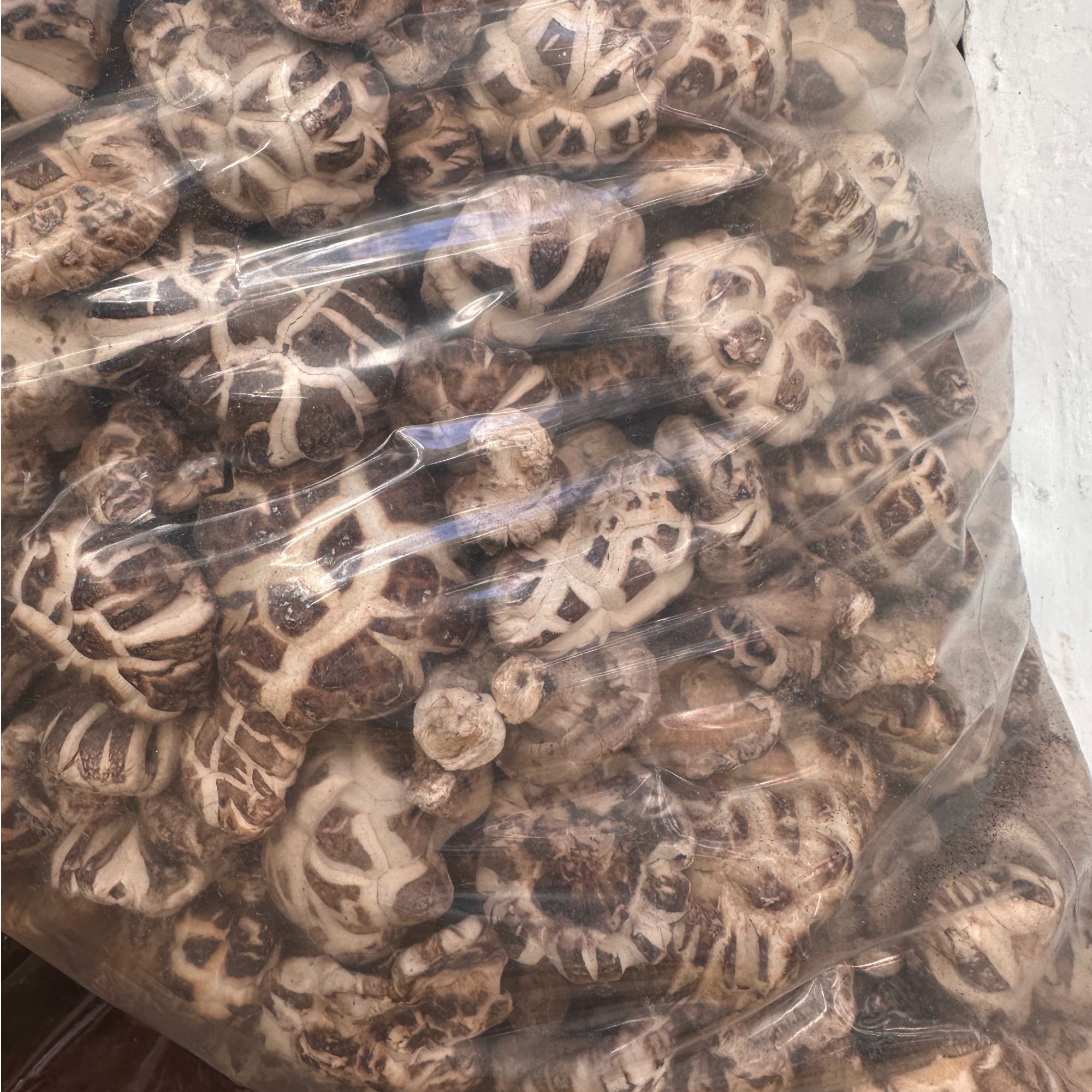 【山货严选】保康大山特产精品椴木花菇特色山货花菇高品质