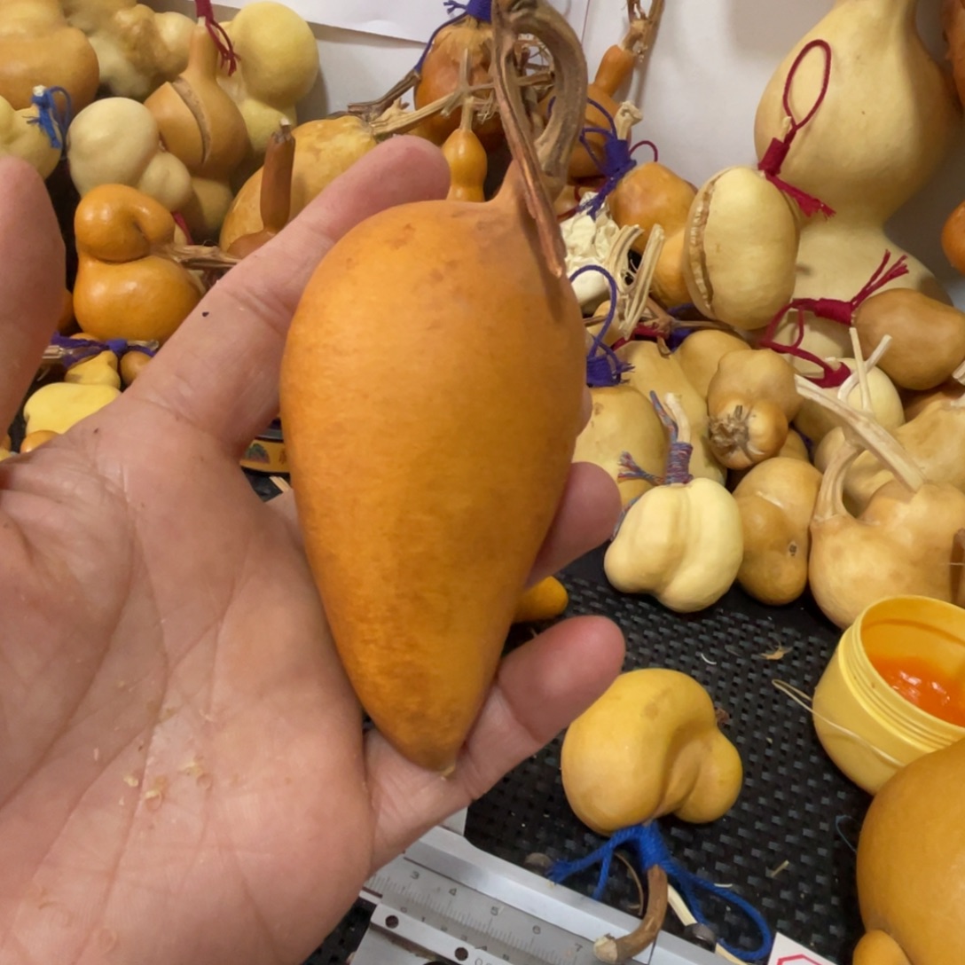 普***r葫芦葫哈哈哈哈哈哈