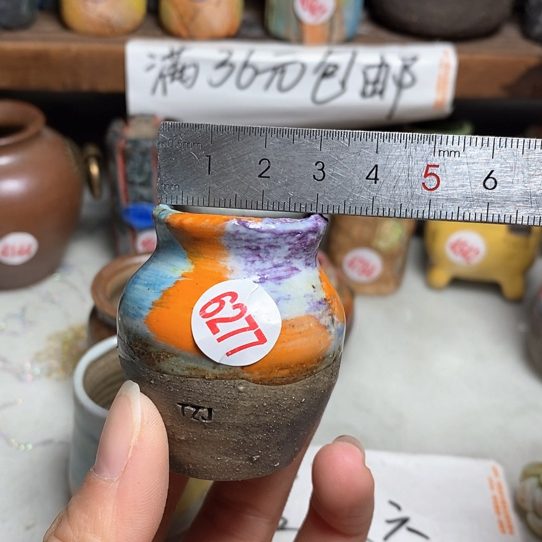 红陶拍5送一个小