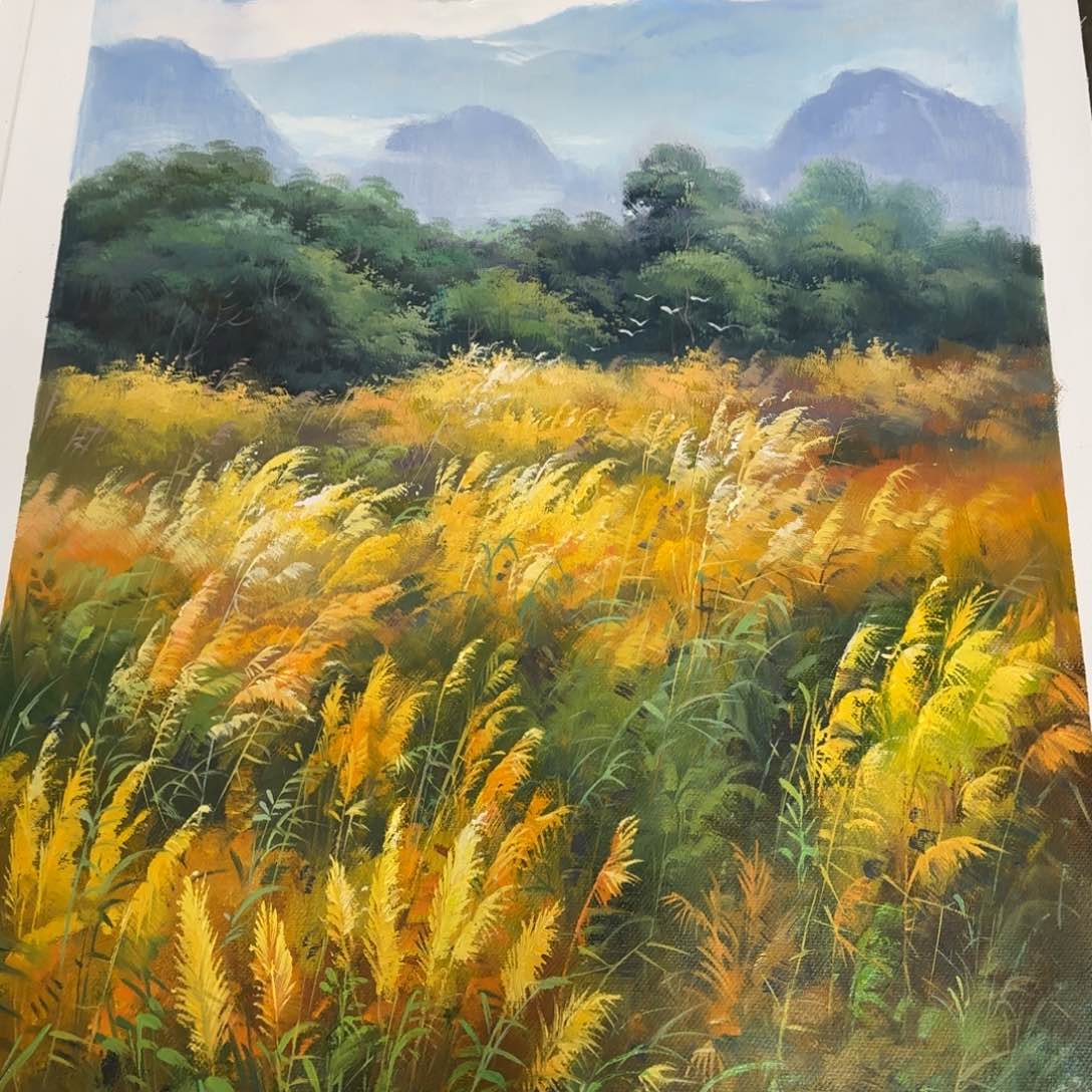 油画优惠活动的时候我也