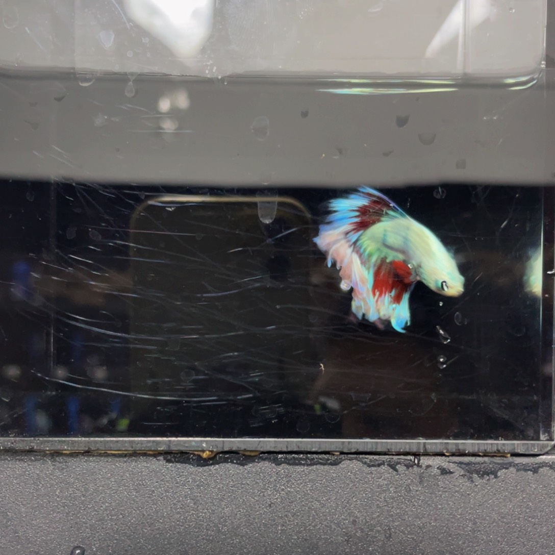 海水哈哈哈哈哈哈哈哈哈哈