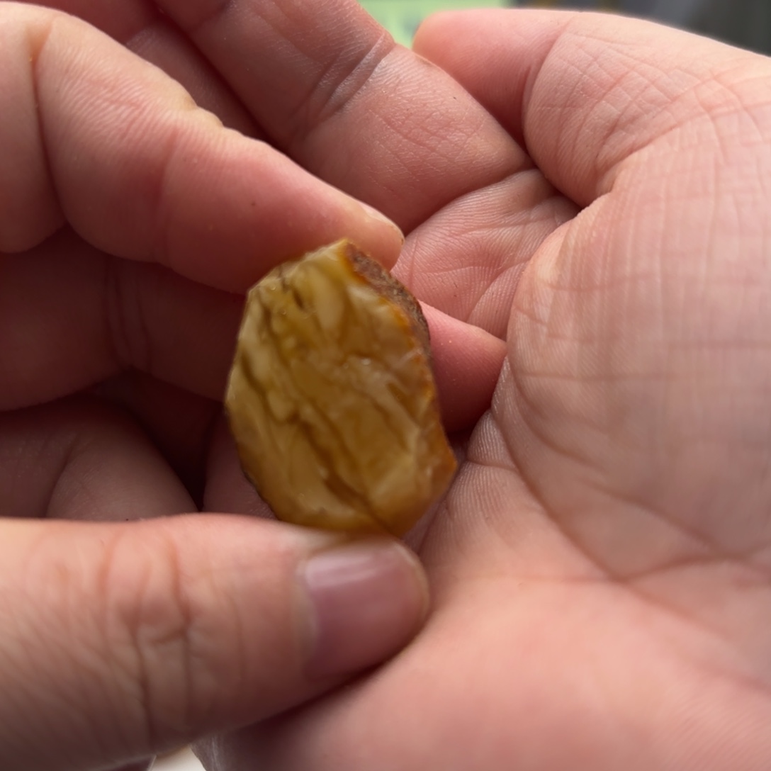 定制琥珀未镶嵌一****o琥珀