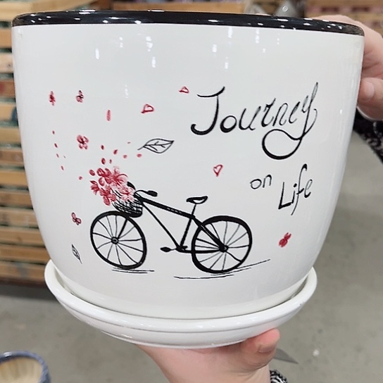 陶瓷陶瓷多肉精美花盆