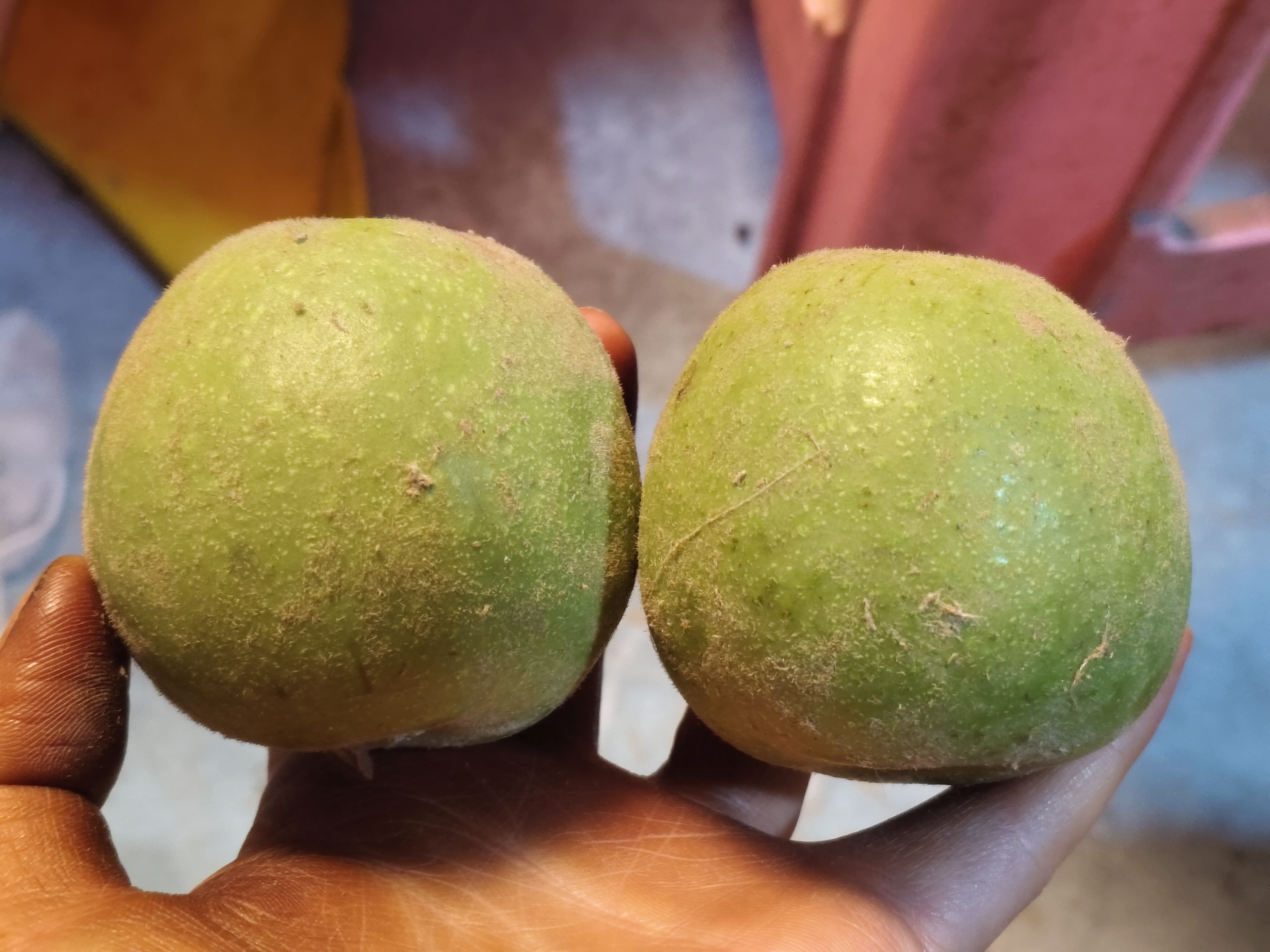 文玩核桃南疆石青皮不退不换