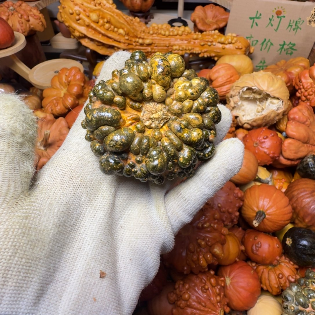 红***红特价原皮葫芦不退不换