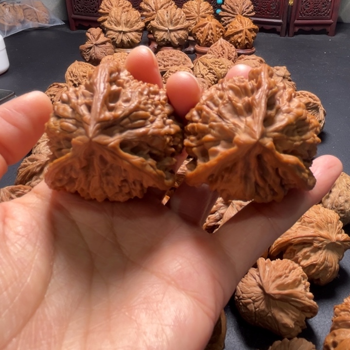 官帽三棱43尺寸核桃哈哈哈哈哈