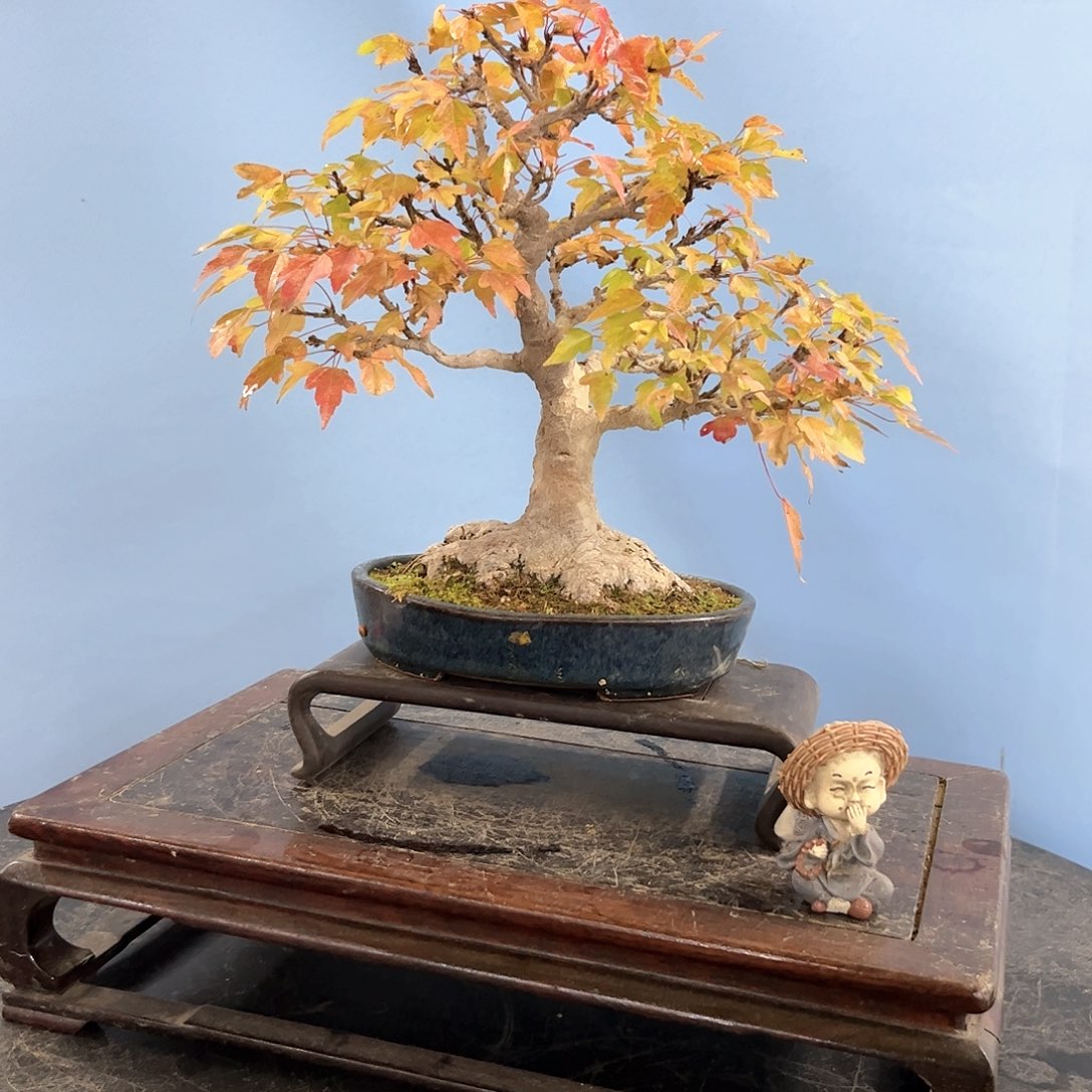 以实际为准盒**生