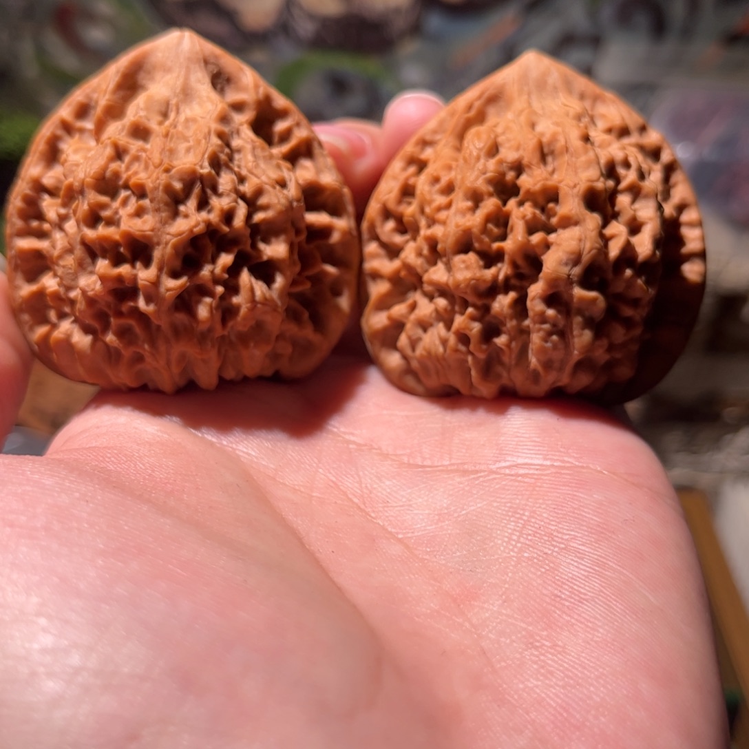 托****木质50尺山西老帽子