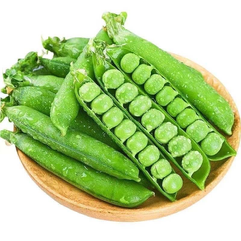 云南德宏新鲜采摘 豌豆