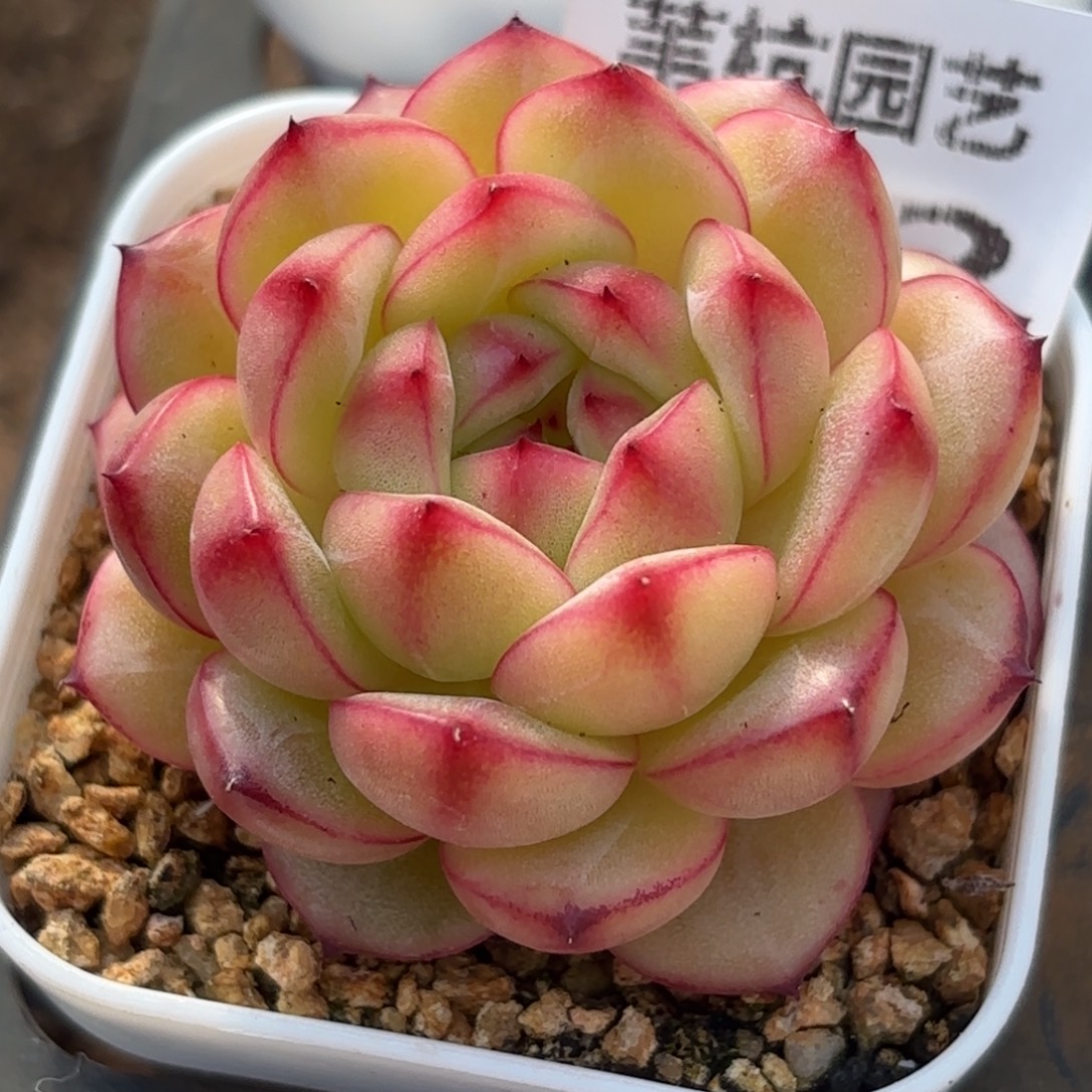 322是你最大动力啊哈喽