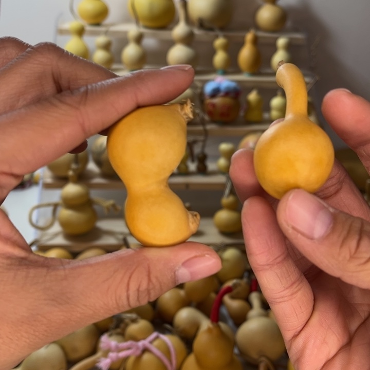 彭***六葫芦葫芦葫芦葫芦葫芦