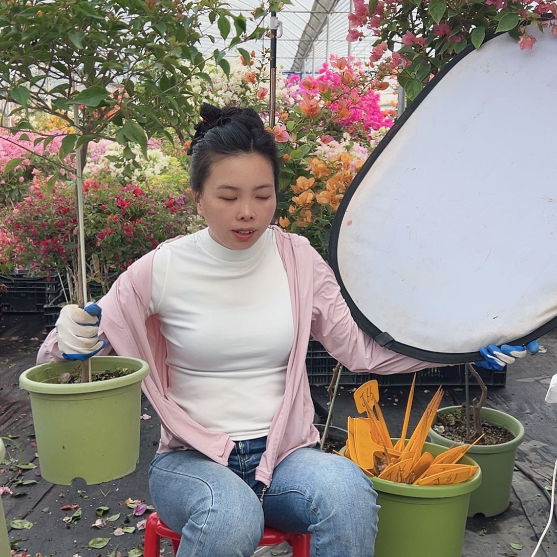 缘***大部分花苞少量开放J58