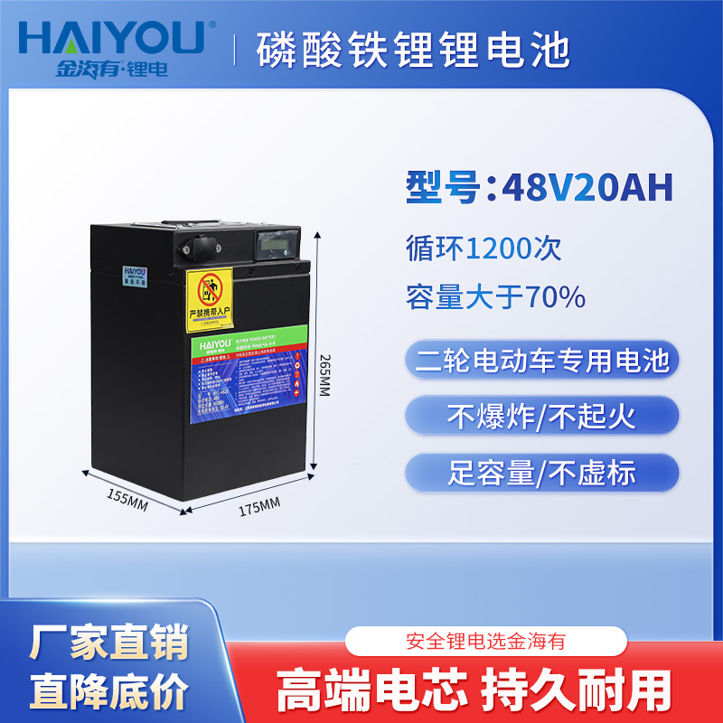 48V20AH大容量磷酸铁锂电池两轮电动车快递外卖专用