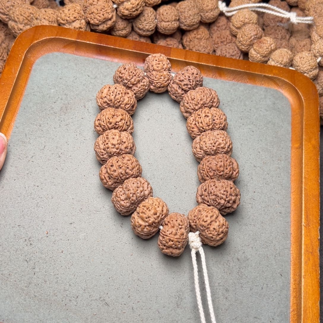 菩提4号金刚菩提夹板六瓣24+