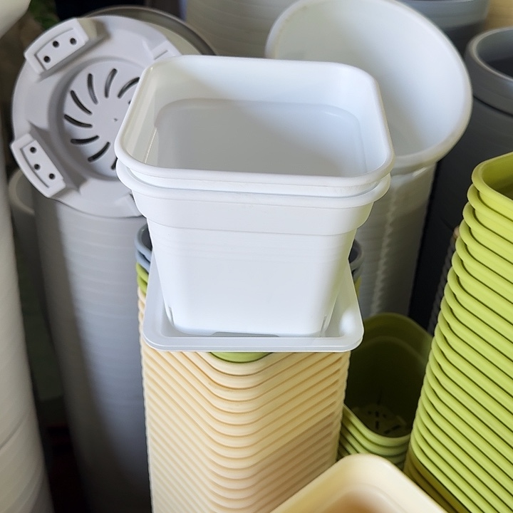 方16口径20个带托新款白色