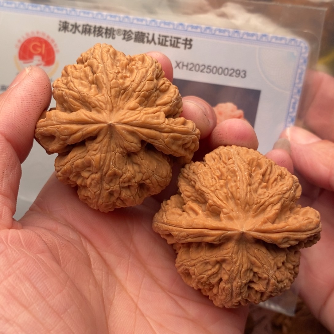 文玩核桃把件粗筋47