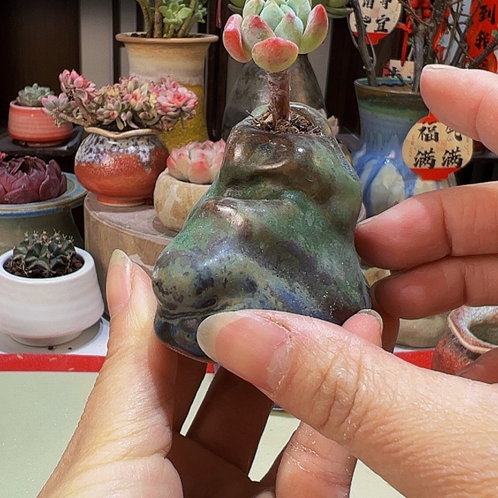 景德镇陶瓷2单包邮