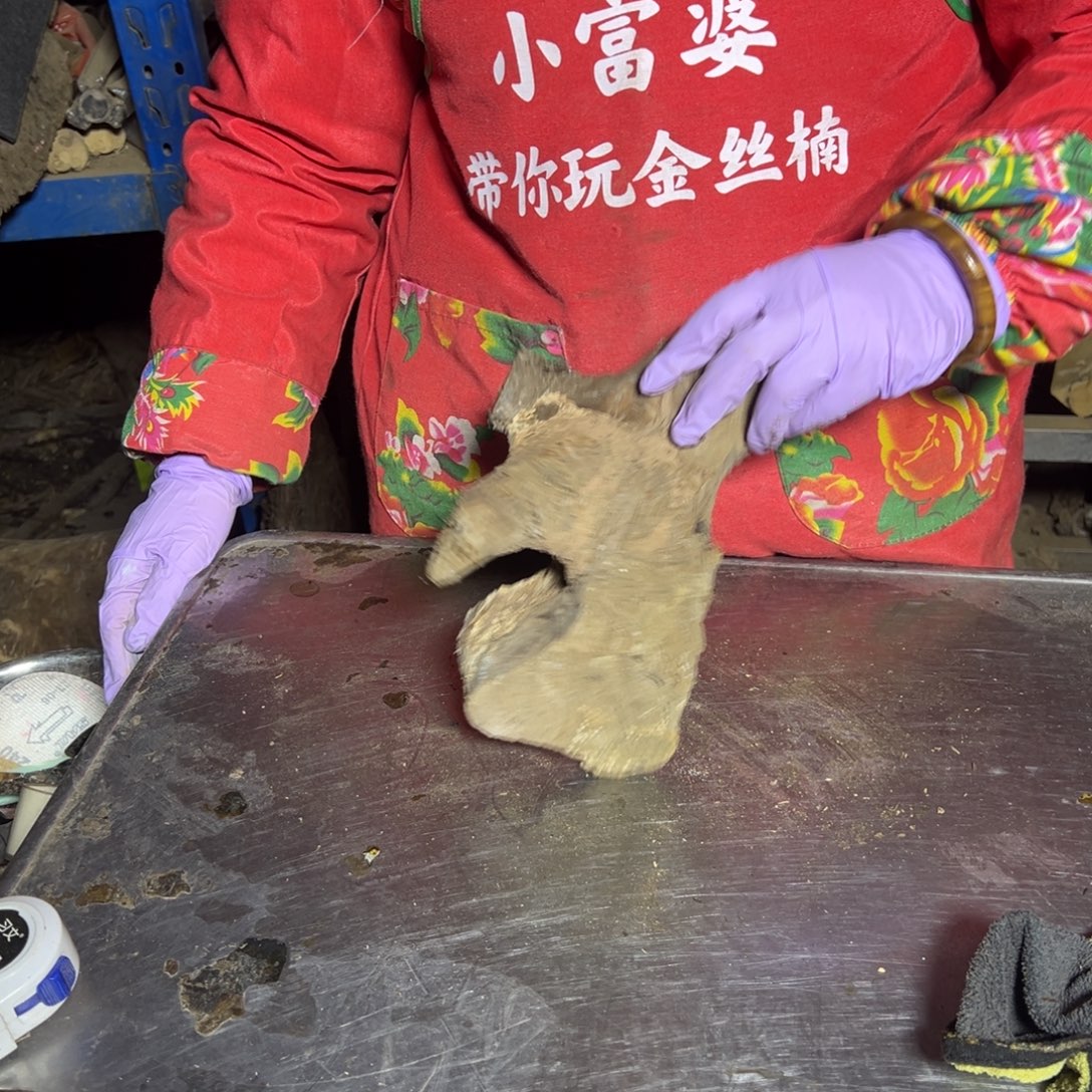 你****金丝楠22222222222222222