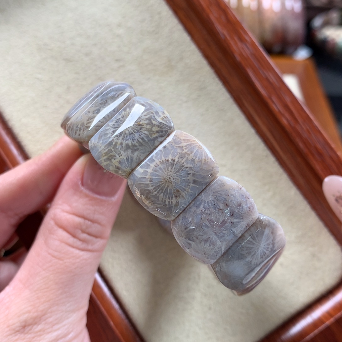 硅化珊瑚（珊瑚玉）手排未镶嵌蓝大花