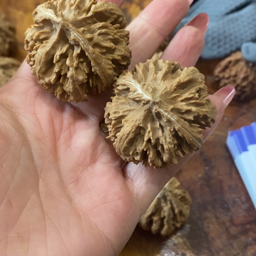 恩*秦岭野生核桃灯笼