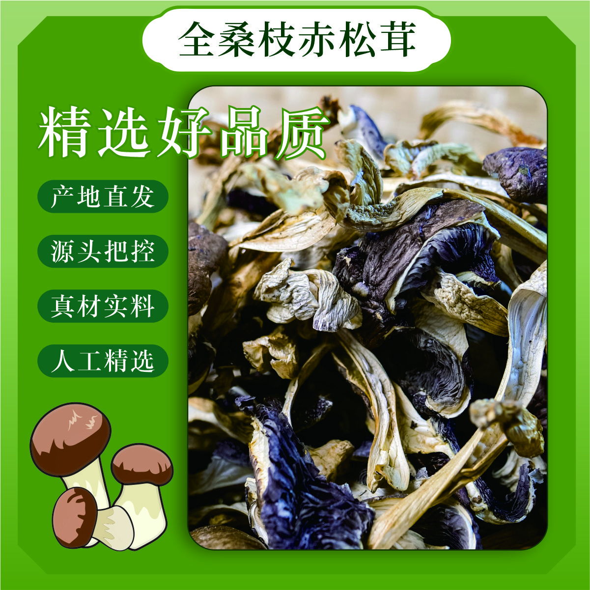 桑枝菇赤松茸干货煲汤炒菜包饺子食材新鲜土特产食用菌菇