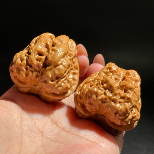 编号1104尺寸40精品金蟾蛤蟆头蜡皮精品配对