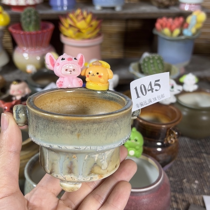 6口高5 ……未满30运费到付