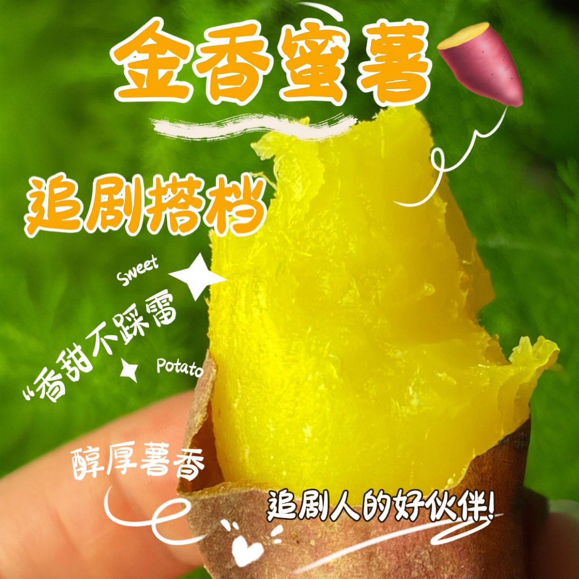 扬州金香蜜薯糖心新鲜现挖比榴莲蜜薯好吃正宗高端红薯软糯香甜