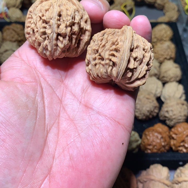 文玩核桃吊坠42蓟县楼