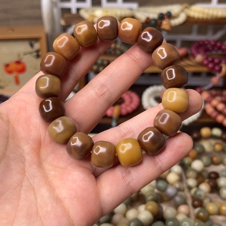 菩提根/象牙果手串