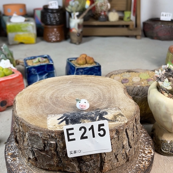 618限时购 默认微次 百搭耐看 省空间设计