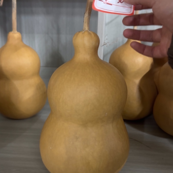 三***金咕噜咕噜咕噜互留居咕噜滚