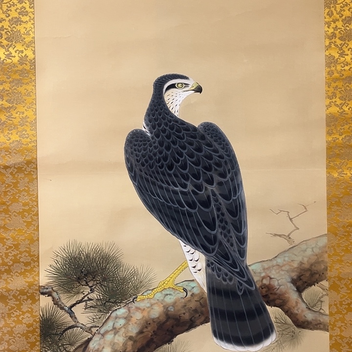 迷***羊放漏放漏又放漏了