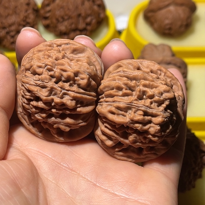 涞水山地果四座楼43全品