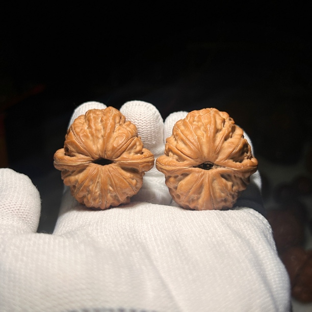 文玩核桃平谷元宝