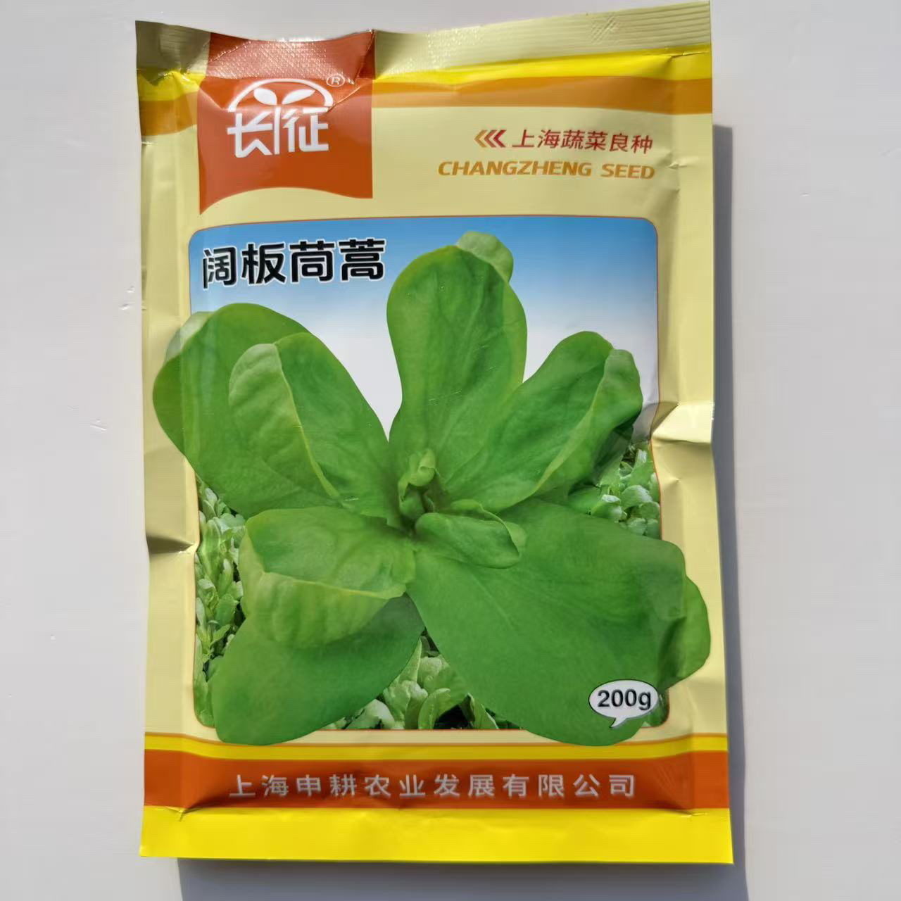 阔板茼蒿虎耳茼蒿大板茼蒿种子阔板大叶四季种籽盆栽耐热大田青菜