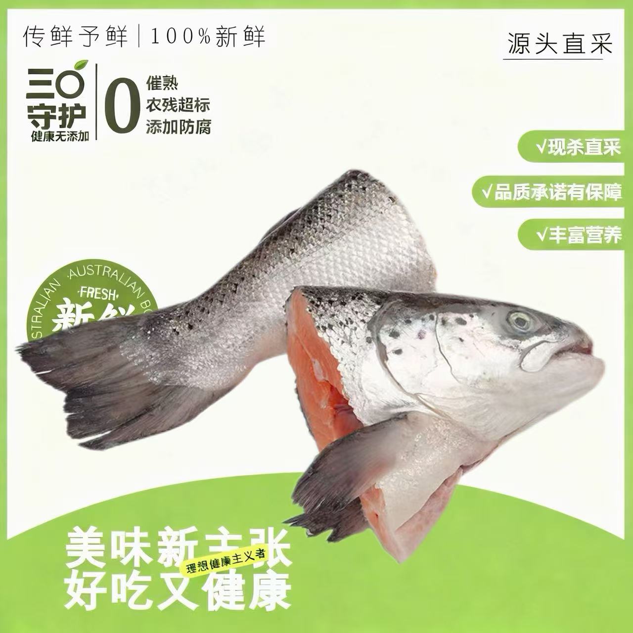 生态大西洋鲑三文鱼头鱼尾