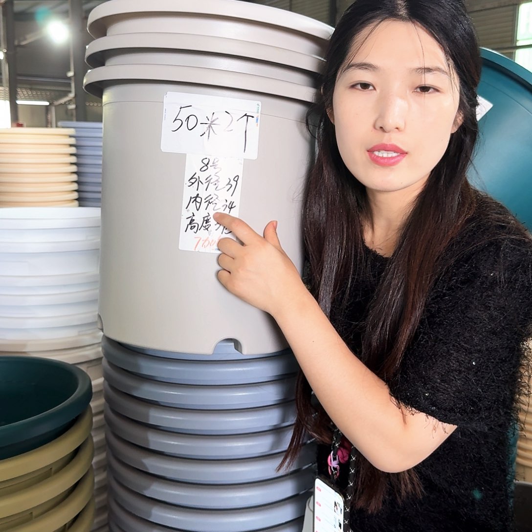 微瑕8#无拖灰白色3个