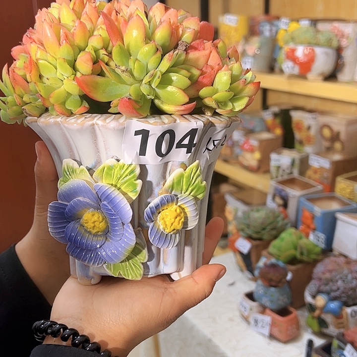 陶瓷多肉花园满15包邮