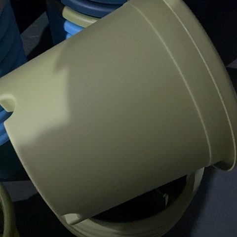 树脂四季3号果绿无托10个微瑕